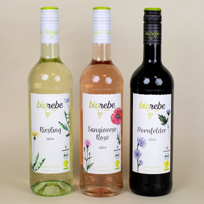 3 Sorten Biorebe Bio-Wein nebeneinander von vorne