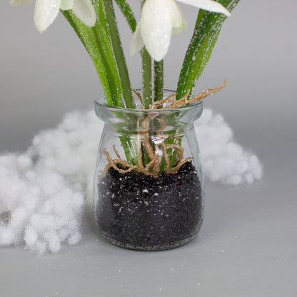 Glasgefäß mit Schneeglöckchen, Erde und Wurzeleffekt als natürliche Dekoration