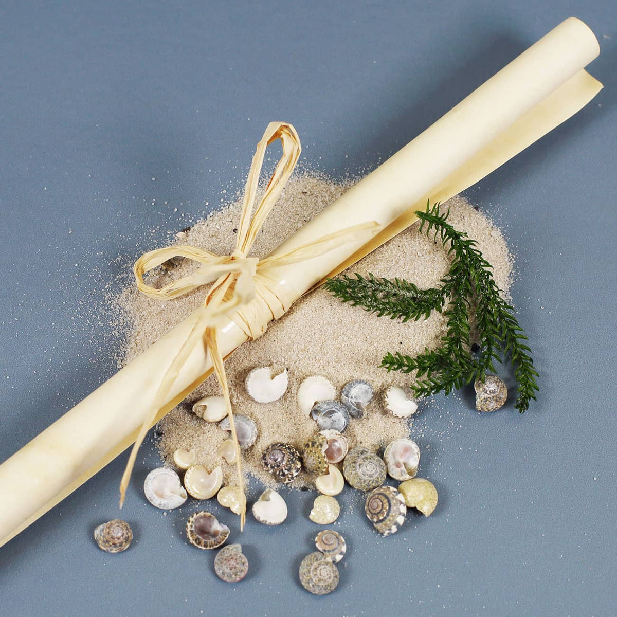 Füllung der Flaschenpost samt Sand, Muscheln, Grün und Papier