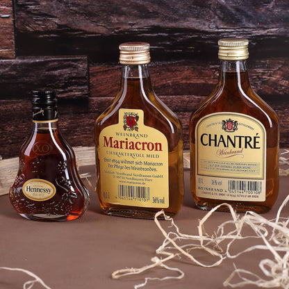 Weinbrand Cognac Kollektion Hennessy Mariacron Chantré